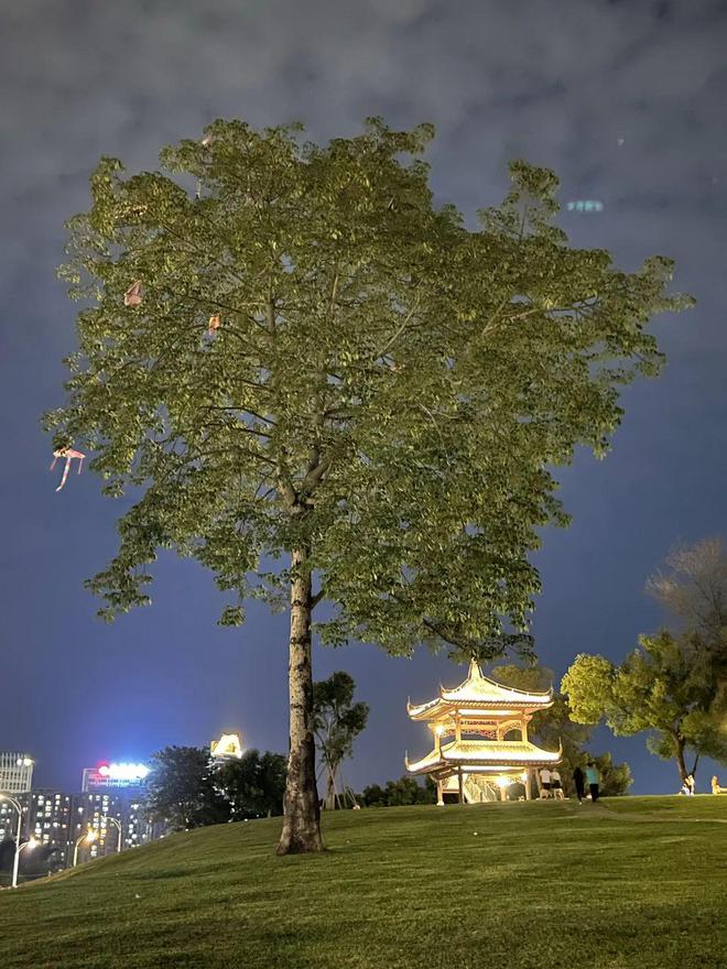 惠州大云寺，最新风貌与深厚文化底蕴的交融